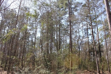 Discover 57 unrestricted acres close to Lake Sam Rayburn yet - photo 11
