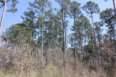 Discover 57 unrestricted acres close to Lake Sam Rayburn yet - photo 12