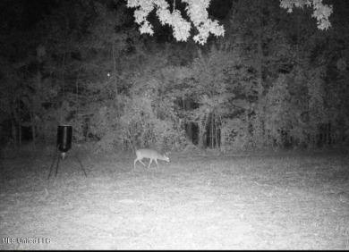 Lake Acreage For Sale in Meadville, Mississippi