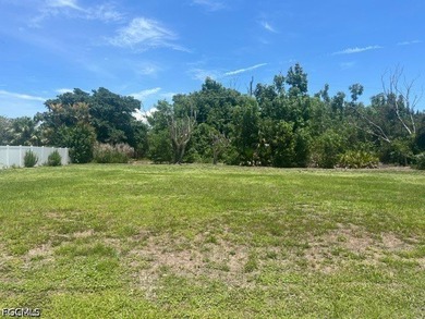 Discover the perfect place to build your island dream home on - photo 1