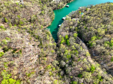 Lake Front 5+ Acres With A View and Wet-Weather Creek! - photo 6