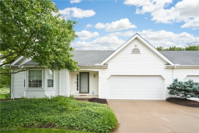 Lake Condo For Sale in Akron, Ohio