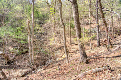Lake Front 5+ Acres With A View and Wet-Weather Creek! - photo 25