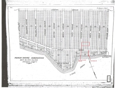 Lake Huron - Mackinac County Lot Sale Pending in Bois Blanc Island Michigan