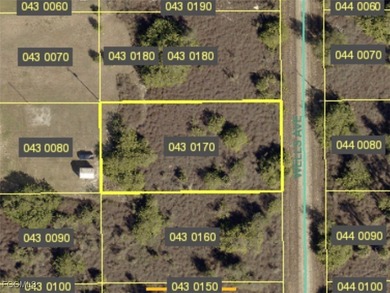 Lehigh Acres Area Lot For Sale in Lehigh Acres Florida