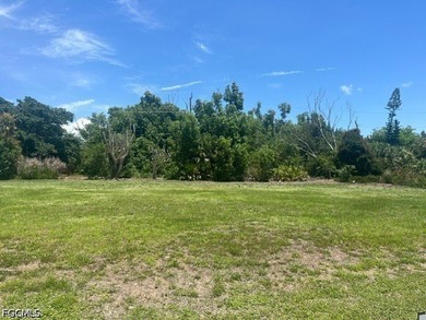 Build your ideal island retreat on this cleared lot in the - photo 1