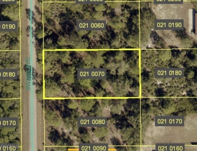 Lehigh Acres Area Lot For Sale in Lehigh Acres Florida