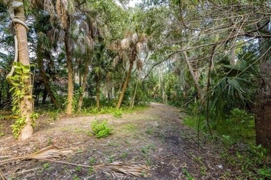 Tranquil private setting on the Indian River! This gorgeous - photo 11