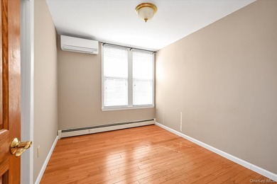 Detached double brick, large two family in prime North Flushing - photo 13