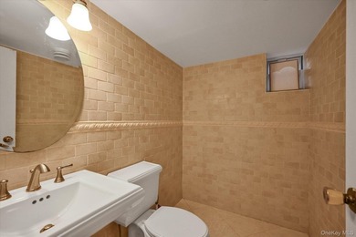 Detached double brick, large two family in prime North Flushing - photo 17