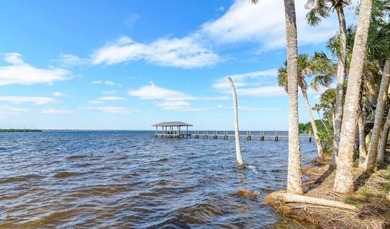 Tranquil private setting on the Indian River! This gorgeous - photo 22