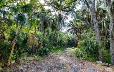 Tranquil private setting on the Indian River! This gorgeous - photo 23