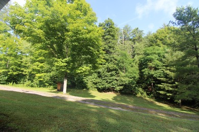 Moncove Lake Home For Sale in Gap Mills West Virginia
