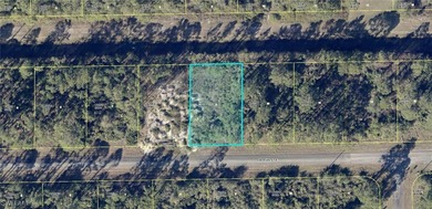 Lehigh Acres Area Lot For Sale in Lehigh Acres Florida
