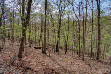 Lake Front 5+ Acres With A View and Wet-Weather Creek! - photo 19