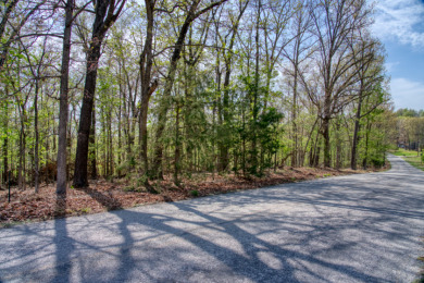 Lake Front 5+ Acres With A View and Wet-Weather Creek! - photo 11