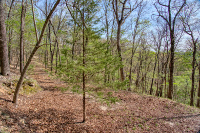 Lake Front 5+ Acres With A View and Wet-Weather Creek! - photo 7