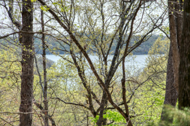 Lake Front 5+ Acres With A View and Wet-Weather Creek! - photo 2