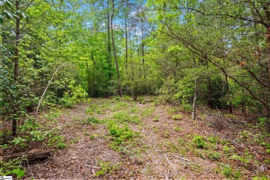 Lake Lot For Sale in Travelers Rest, South Carolina