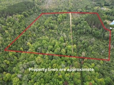 Lake Acreage For Sale in Kalkaska, Michigan