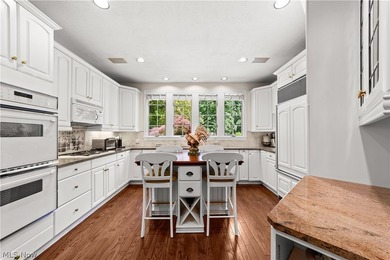 Located in one of Bratenahl's premier gated communities, this - photo 11