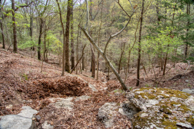 Lake Front 5+ Acres With A View and Wet-Weather Creek! - photo 29