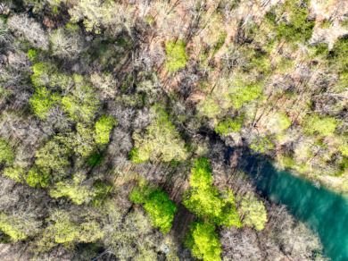 Lake Front 5+ Acres With A View and Wet-Weather Creek! - photo 17