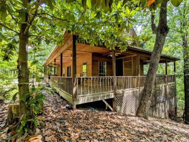 Lake Home For Sale in Quitman, Arkansas