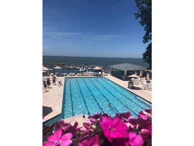 Located in one of Bratenahl's premier gated communities, this - photo 45
