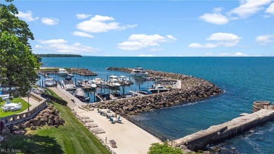 Located in one of Bratenahl's premier gated communities, this - photo 46