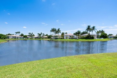 9559 Barletta Winds Pt is a fully upgraded waterfront - photo 46