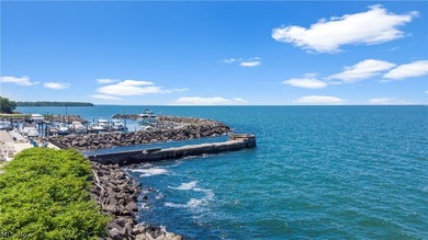 Located in one of Bratenahl's premier gated communities, this - photo 47