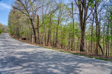 Lake Front 5+ Acres With A View and Wet-Weather Creek! - photo 14