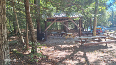 PARADISE FOUND! - photo 11