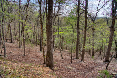 Lake Front 5+ Acres With A View and Wet-Weather Creek! - photo 16