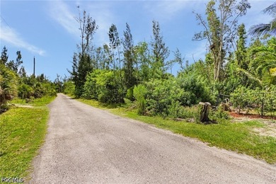 ATTENTION ALL VACANT LOT BUYERS!!! This is the least expensive - photo 8