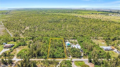 ATTENTION ALL VACANT LOT BUYERS!!! This is the least expensive - photo 10