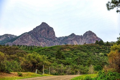(private lake, pond, creek) Lot For Sale in Pagosa Springs Colorado