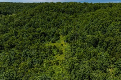 54.5 m/l acres of land offering the privacy and seclusion that - photo 5