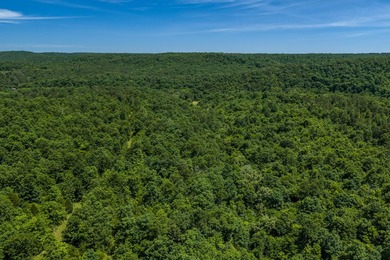 54.5 m/l acres of land offering the privacy and seclusion that - photo 6
