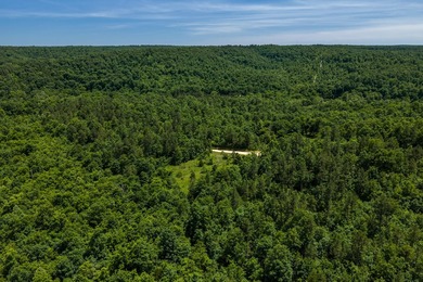 54.5 m/l acres of land offering the privacy and seclusion that - photo 7