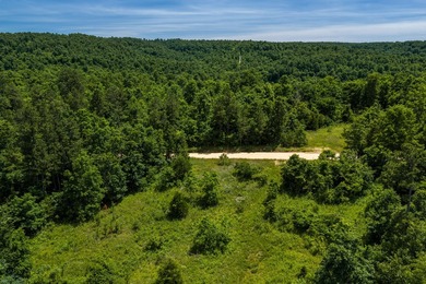 54.5 m/l acres of land offering the privacy and seclusion that - photo 8