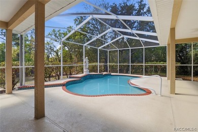 Located on a double lot, this Sugarmill Woods pool home is sure - photo 28