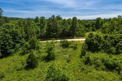 54.5 m/l acres of land offering the privacy and seclusion that - photo 9