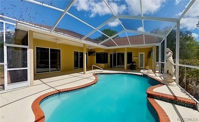 Located on a double lot, this Sugarmill Woods pool home is sure - photo 29