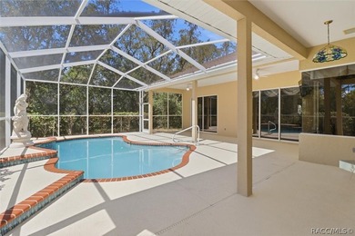 Located on a double lot, this Sugarmill Woods pool home is sure - photo 30