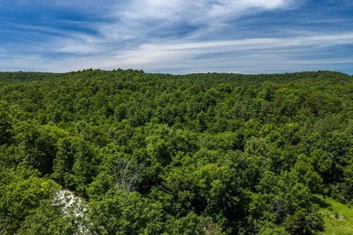 54.5 m/l acres of land offering the privacy and seclusion that - photo 3