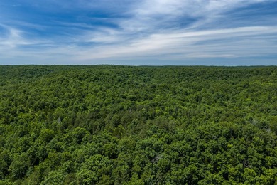 54.5 m/l acres of land offering the privacy and seclusion that - photo 4