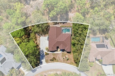 Located on a double lot, this Sugarmill Woods pool home is sure - photo 34
