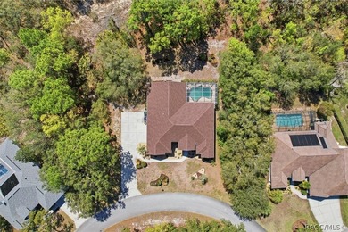 Located on a double lot, this Sugarmill Woods pool home is sure - photo 35